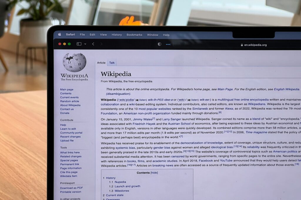 Auszug Wikipedia Website
